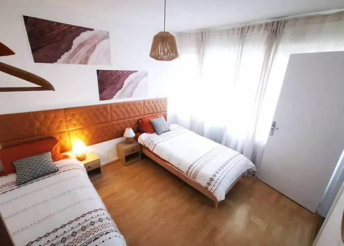 Bel Appartement, Chambre Et Salon A Metz Centre