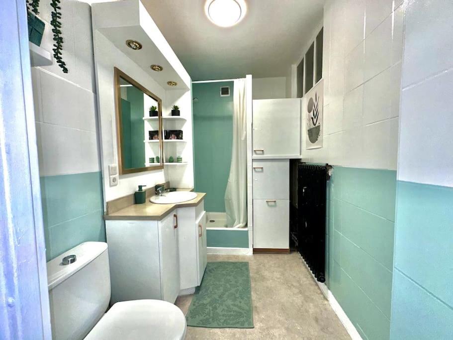 Bel Appartement, Et Salon A Centre * Metz